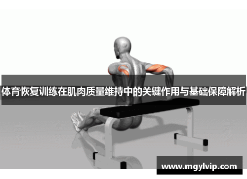 体育恢复训练在肌肉质量维持中的关键作用与基础保障解析