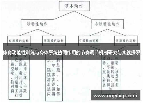 体育功能性训练与身体系统协同作用的节奏调节机制研究与实践探索